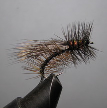 ���� ����� Stimulator STM 08  Peacock Var. ������ � 10 ( Kumho )